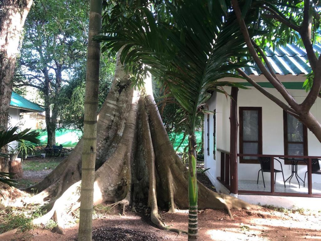 Tropical Paradise Leelawadee Resort Koh Chang Exterior foto